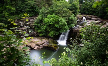 Bonnington Linn - Falls of Clyde